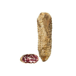 COPPA CORSE