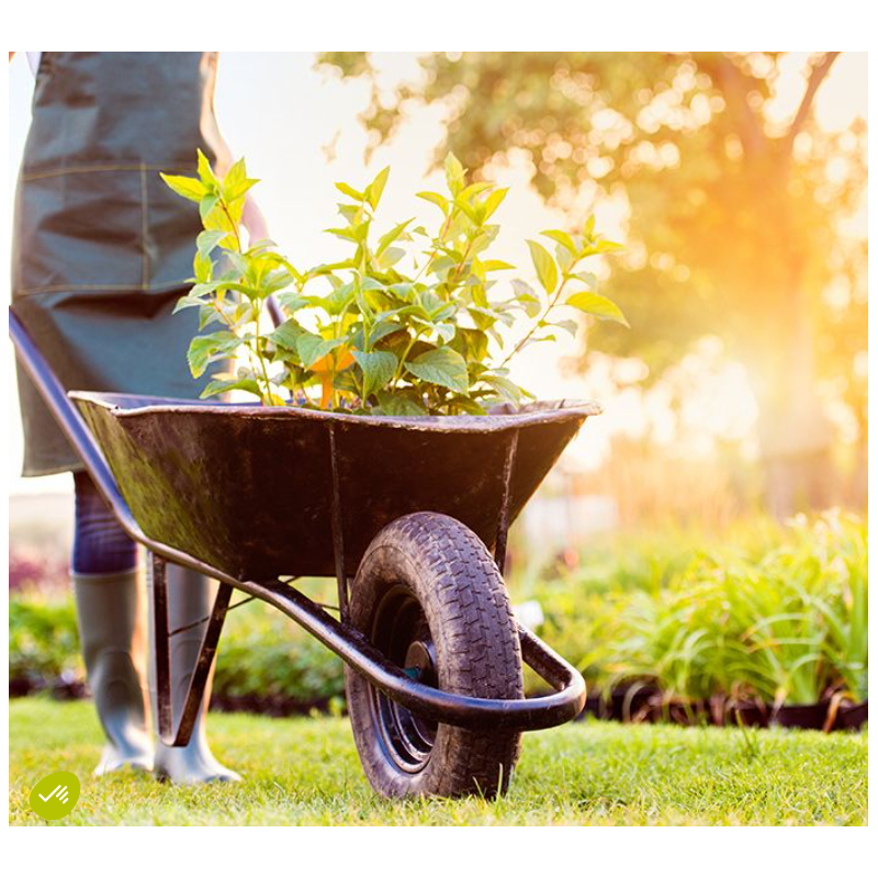 HOME SERVICES
