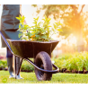 HOME SERVICES