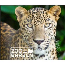 ZOO BARBEN