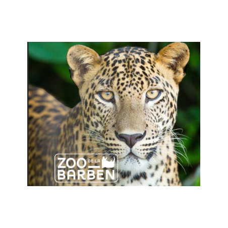 ZOO BARBEN