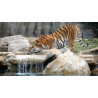ZOO BARBEN